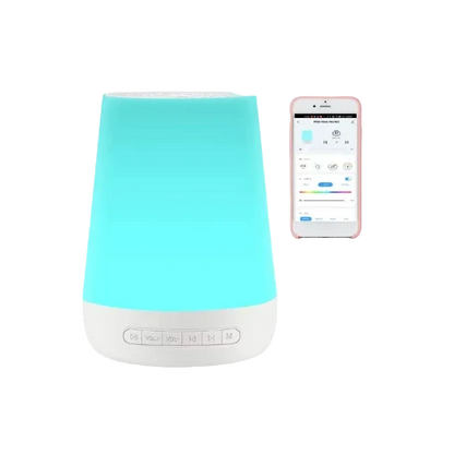 White Noise Controller